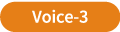 voice3
